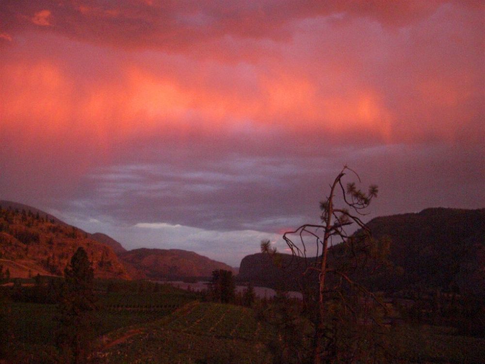 Bighorn Ridge Guesthouse Okanagan Falls Exteriér fotografie
