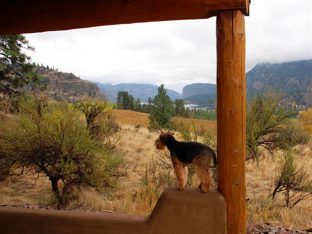 Bighorn Ridge Guesthouse Okanagan Falls Exteriér fotografie