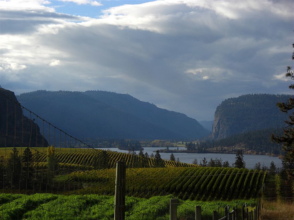 Bighorn Ridge Guesthouse Okanagan Falls Exteriér fotografie